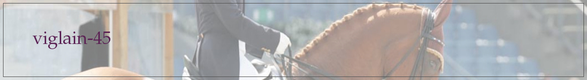 viglain-45